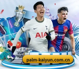 我们在做什么(kaiyun)